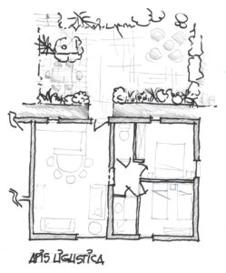 Plan Gîte Apis ligustica